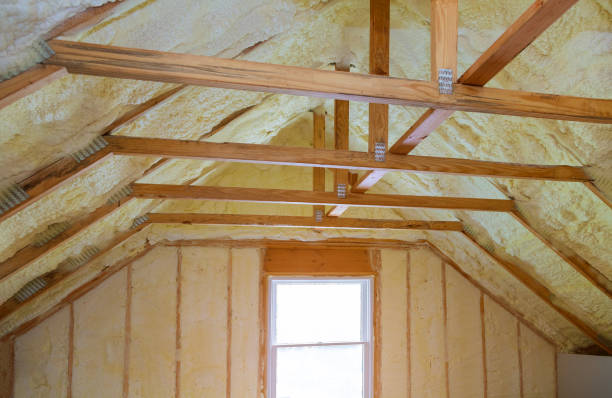 Best Insulation Maintenance and Repair in Charlotte Park, FL